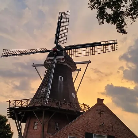 Senden 10 Beneke * Krummhoern